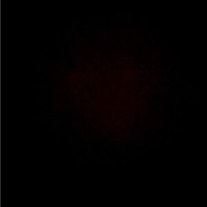 Meet your Posher, Bruce